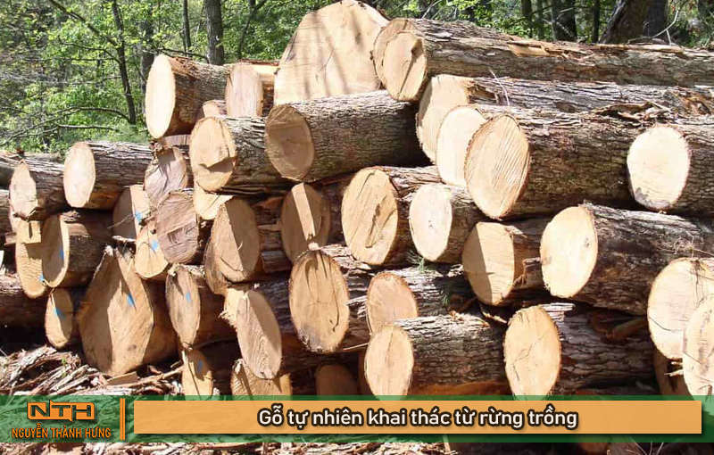 Lý do chọn ván MDF thay cho gỗ tự nhiên là gì?