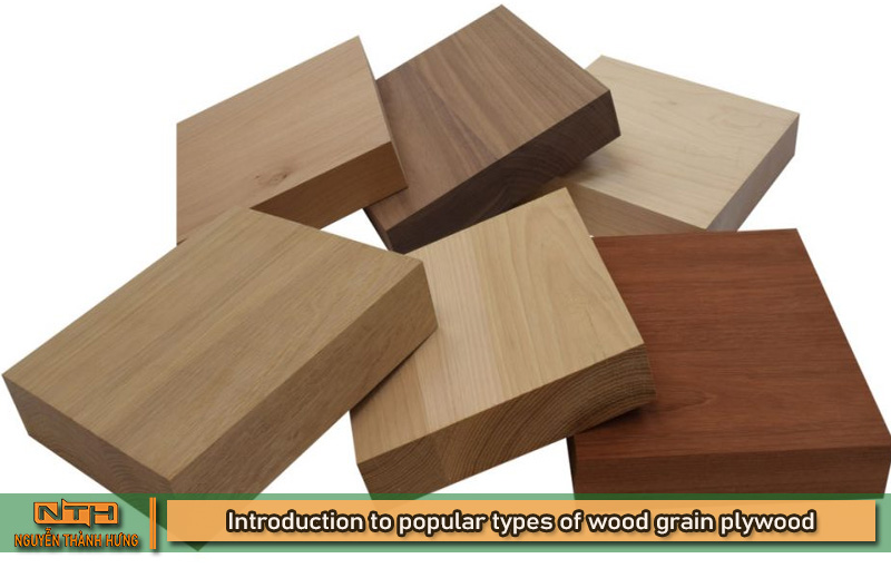 Giới thiệu về loại ván ép vân gỗ phổ biến hiện nay