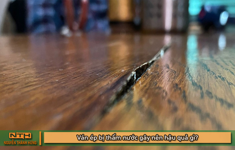 Cách xử lý ván ép bị thấm nước hiệu quả nên biết